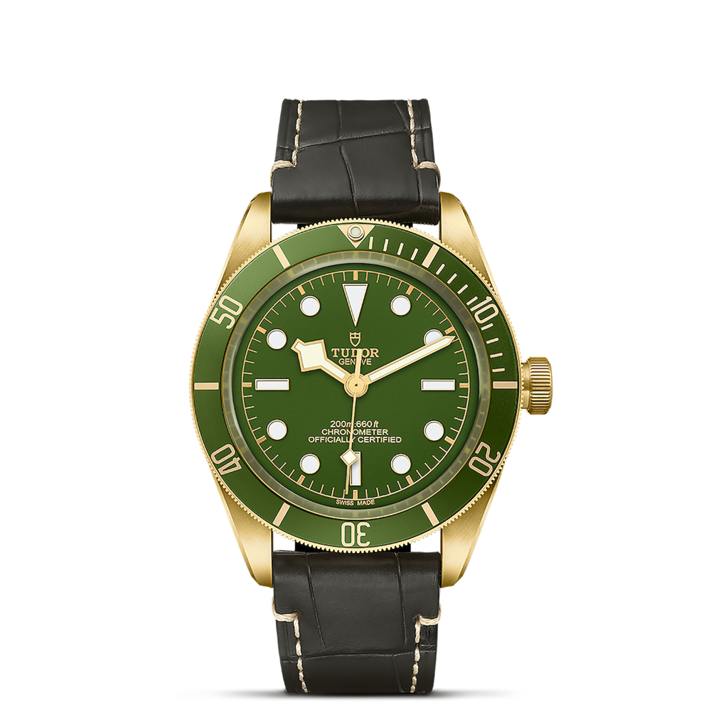 Tudor Black Bay 58 18K Ref. M79018V-0001